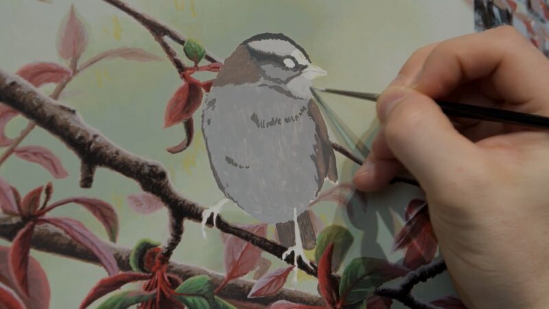 Painting a Sparrow